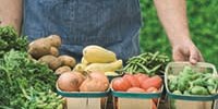 Ernährungsvorsorgetrainer - Basismodul Ernährungsvorsorgetrainer - Basismodul