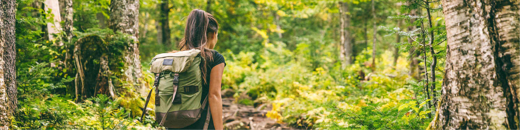 Wald und Gesundheit