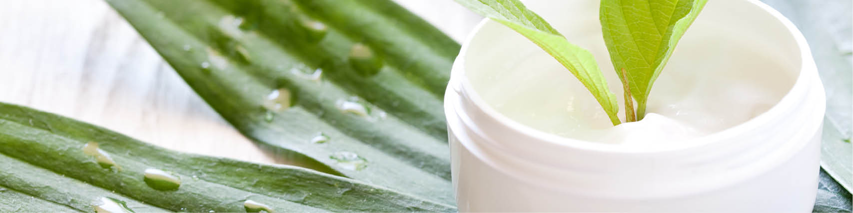 Innovative Naturkosmetik - in Beratung und Anwendung