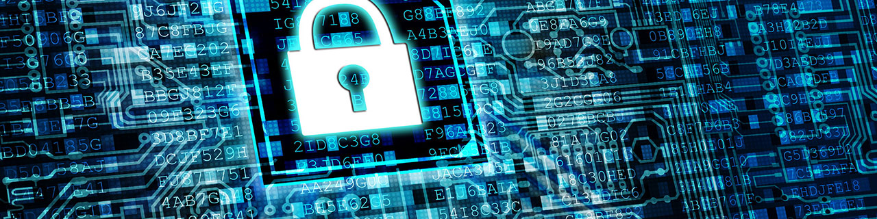 IT-Security Professional