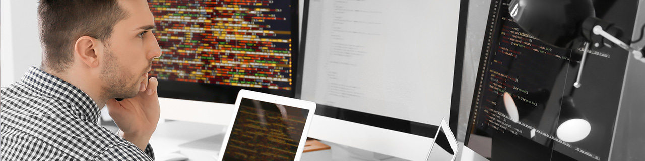 Softwareentwicklung/Datenbanken